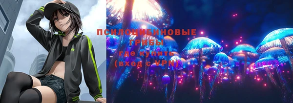 гашик Тихвин
