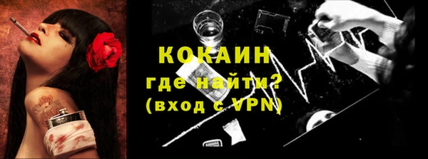 гашик Тихвин