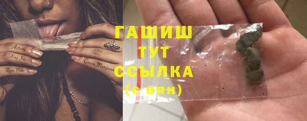 гашик Тихвин
