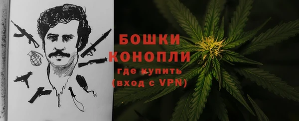 гашик Тихвин
