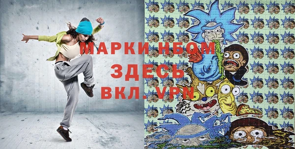 гашик Тихвин