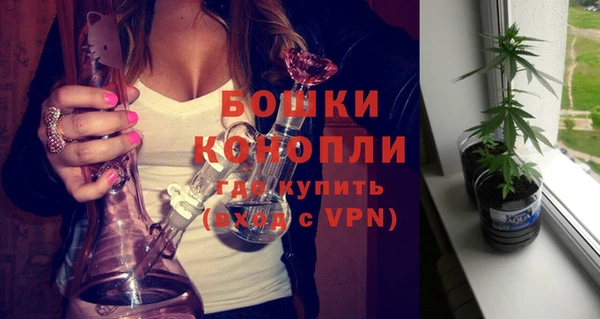 гашик Тихвин