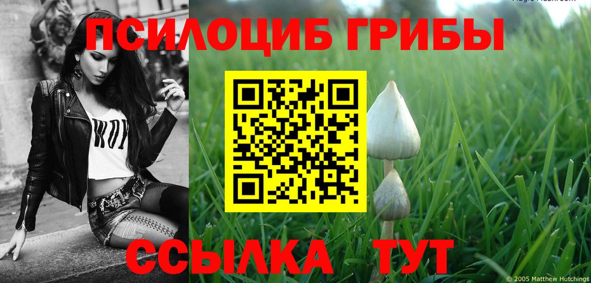 Галлюциногенные грибы мухоморы  Видное 